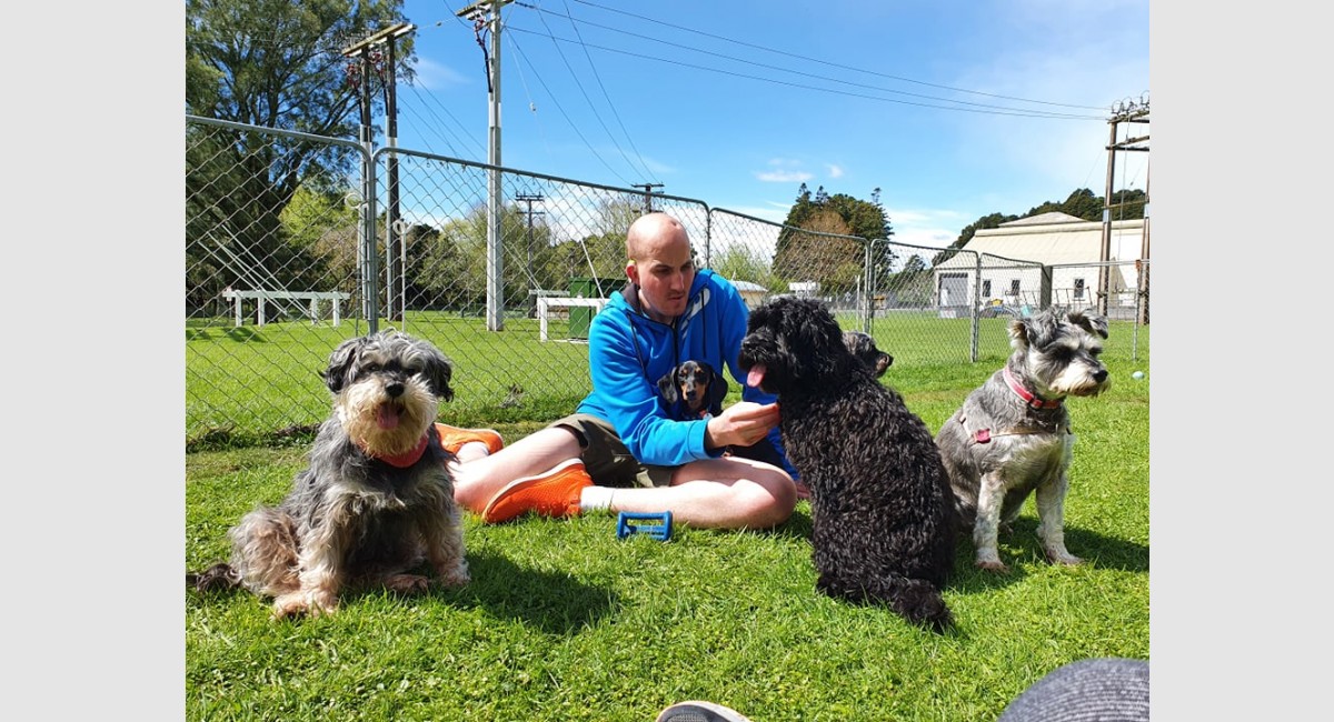 Rory Hearing Dogs v2